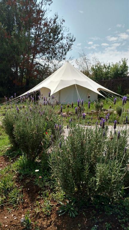 Acatitlan Glamping Hotel Valle de Bravo Eksteriør billede